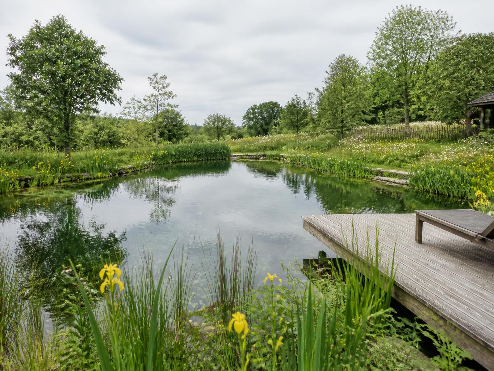 Natuurlijke zwemvijver met oeverbeplanting